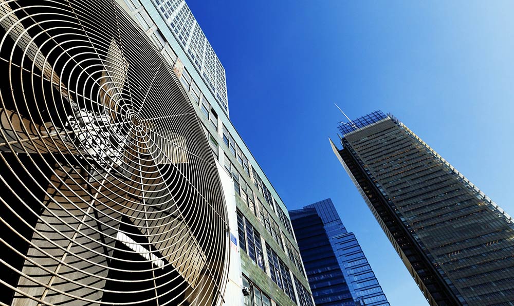 Компанийн тухай