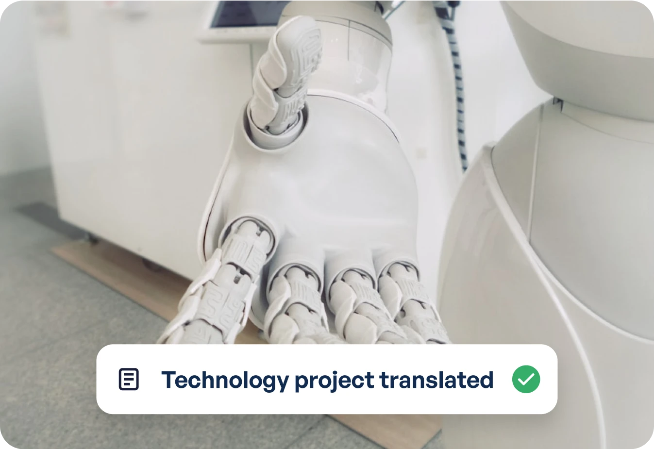 IT translation services we offer