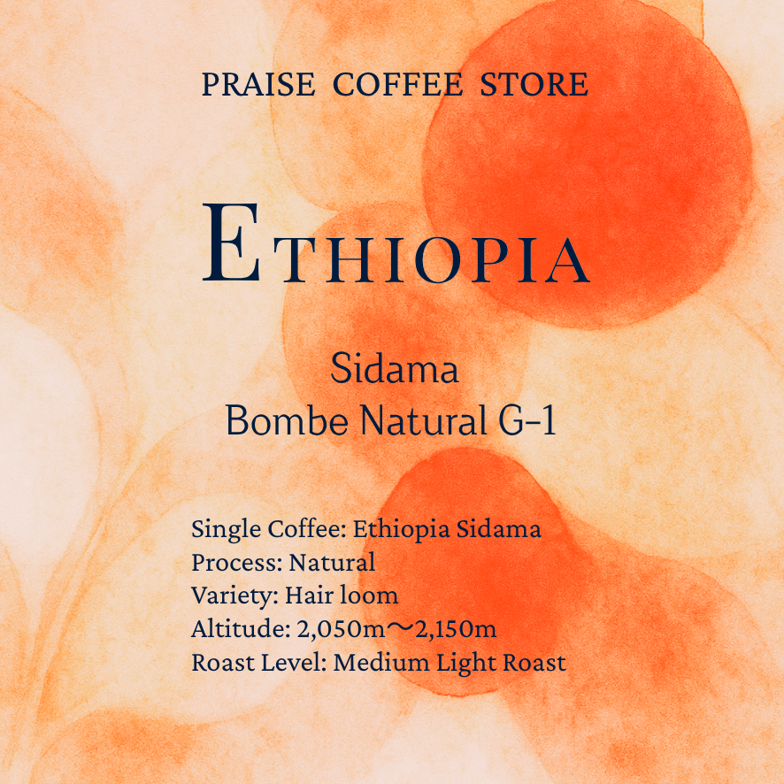 【SINGLE】 ETHIOPIA SIDAMA BOMBE NATURAL エチオピア シダモ ボンベ ナチュラル