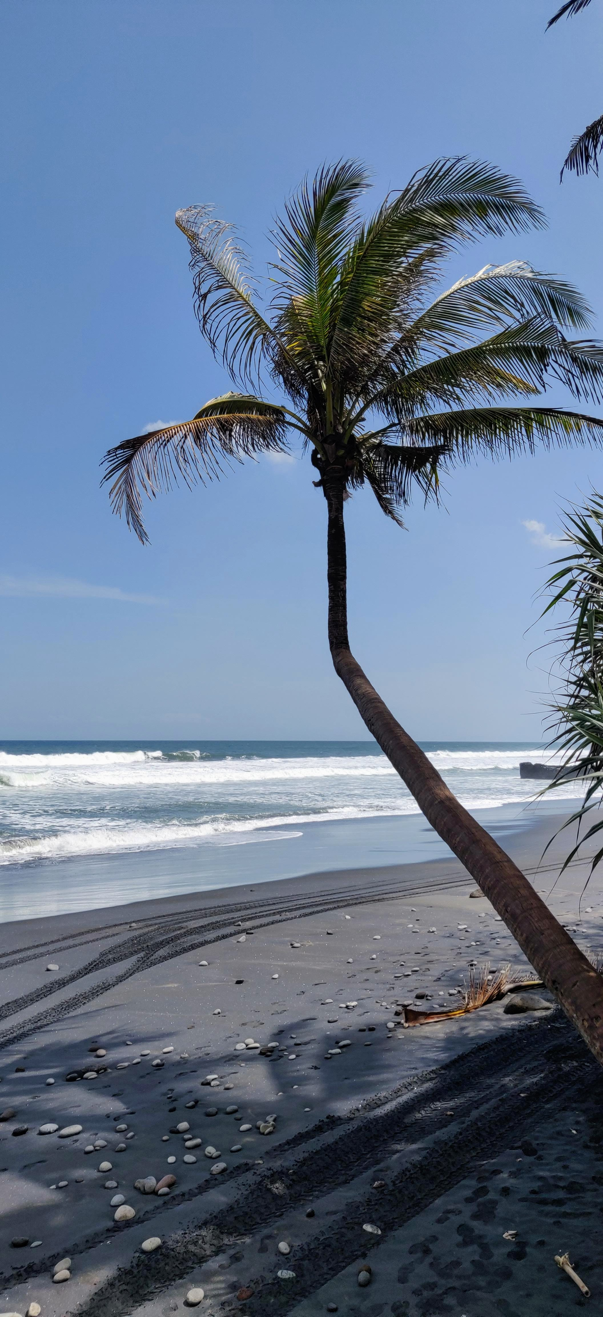 Azie_Indonesie_Bali_Pasut2