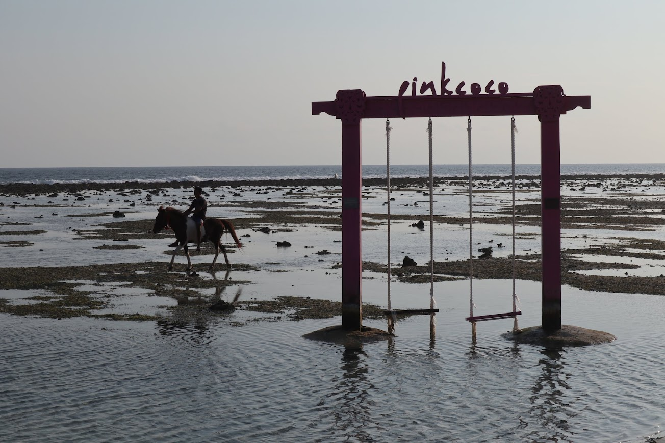 Indonesië_Lombok_GiliT_pink coco_paard