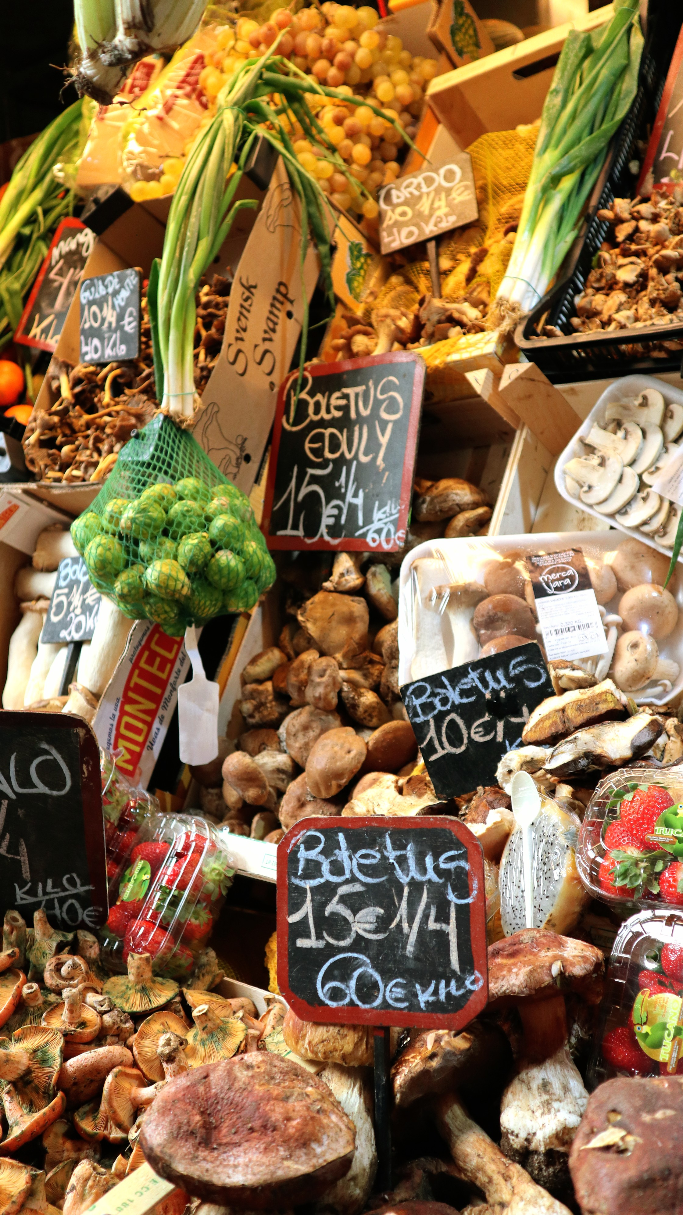 Europa_Spanje_Malaga_Markthal_paddenstoel