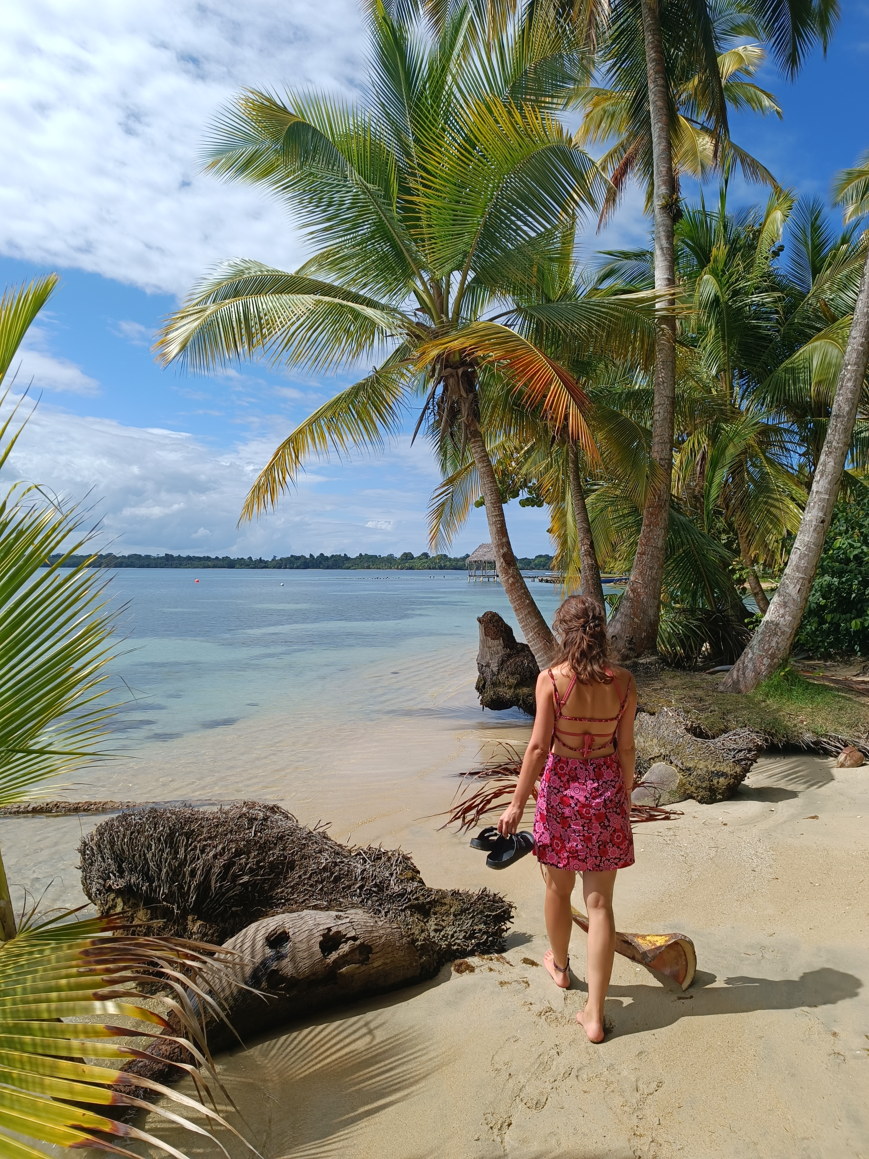 Panama_Bocas_starfishroute