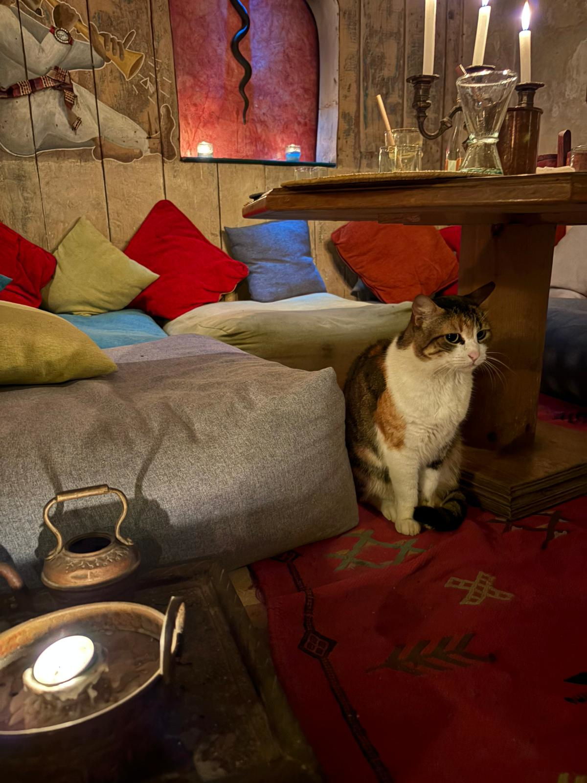 Afika_Marroko_Essaouira_koffie3