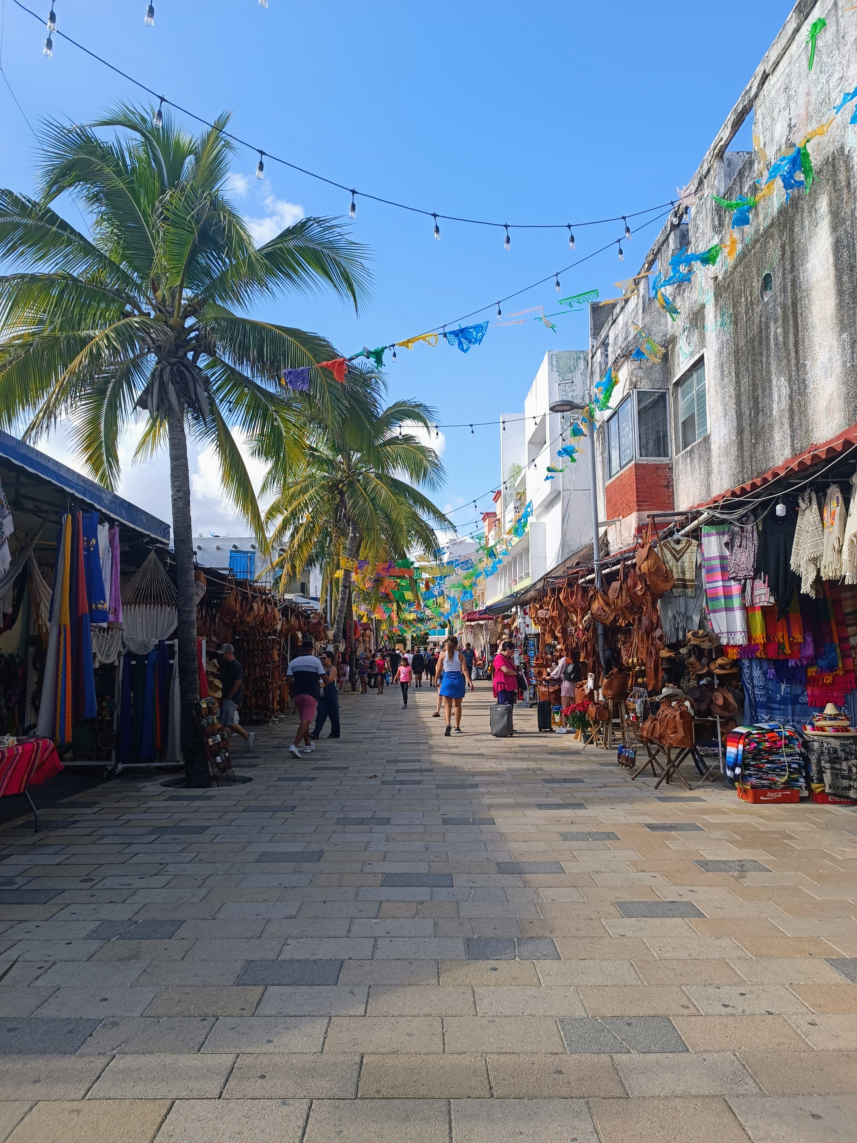 Amerika_Yucatan_Playa_dag