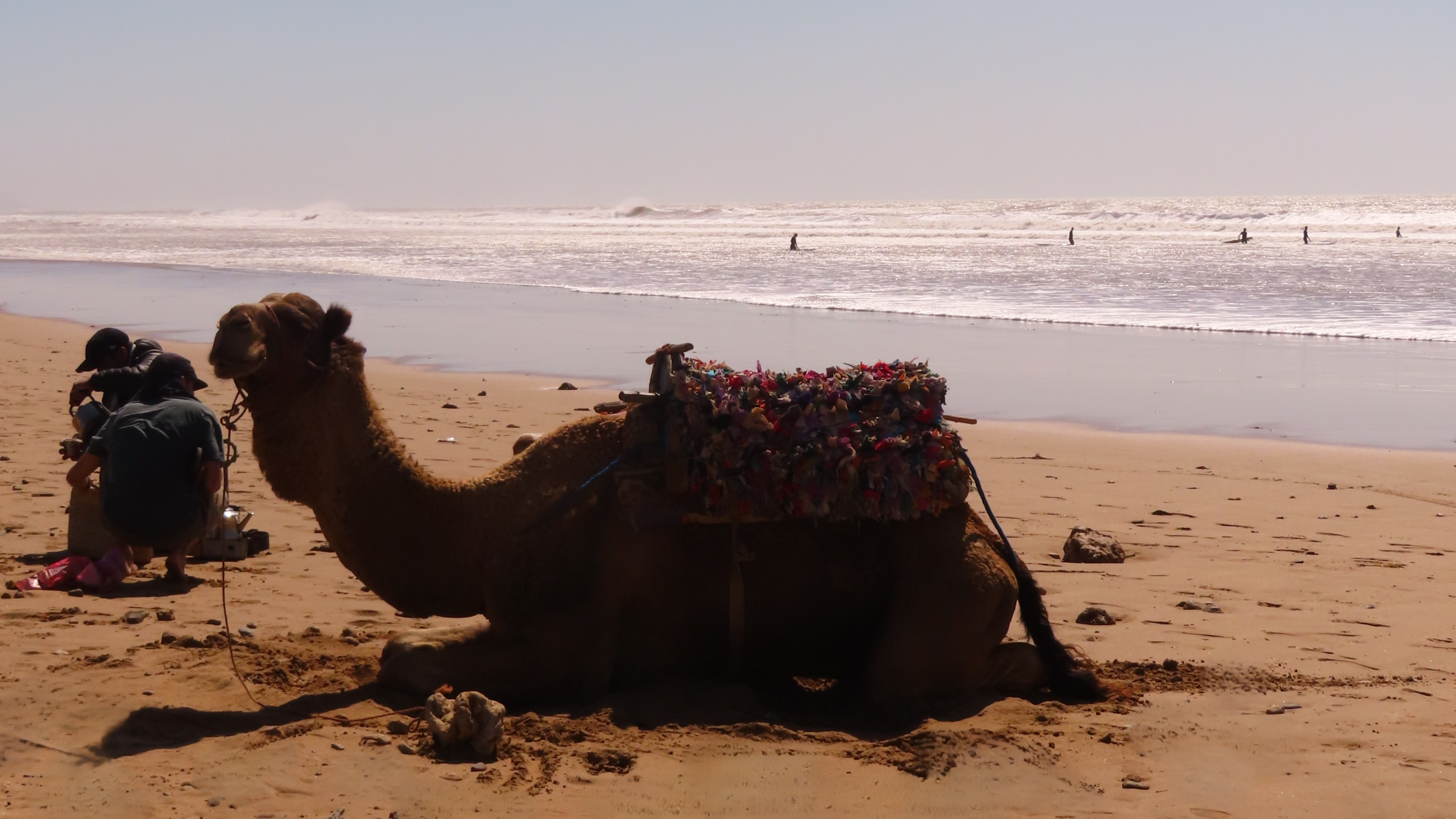 Afrika_Marrokko_hoofdfoto