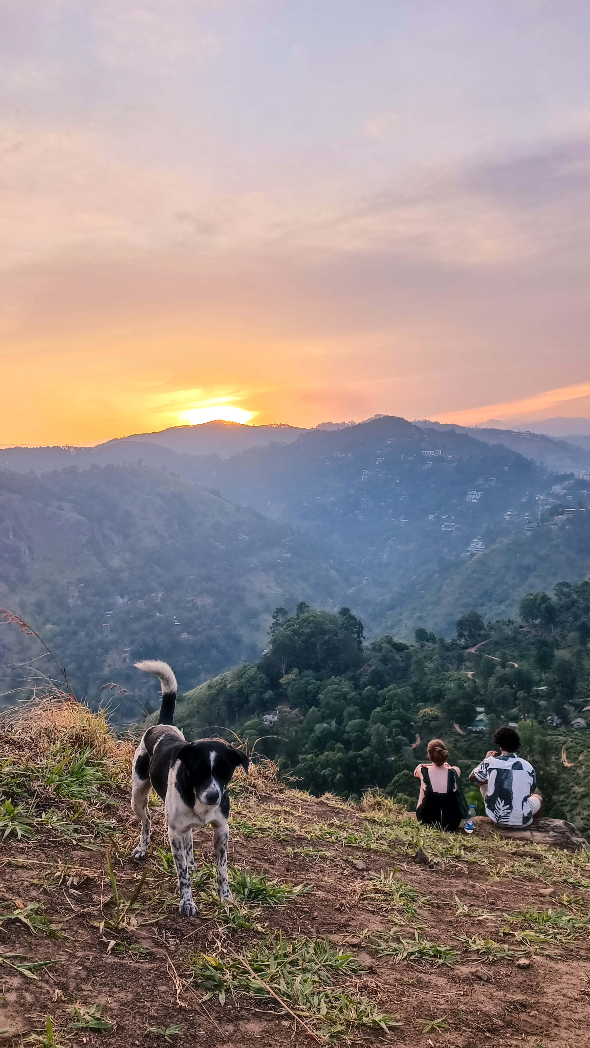 Sri Lanka - Ella - Little Adams Peak Dog