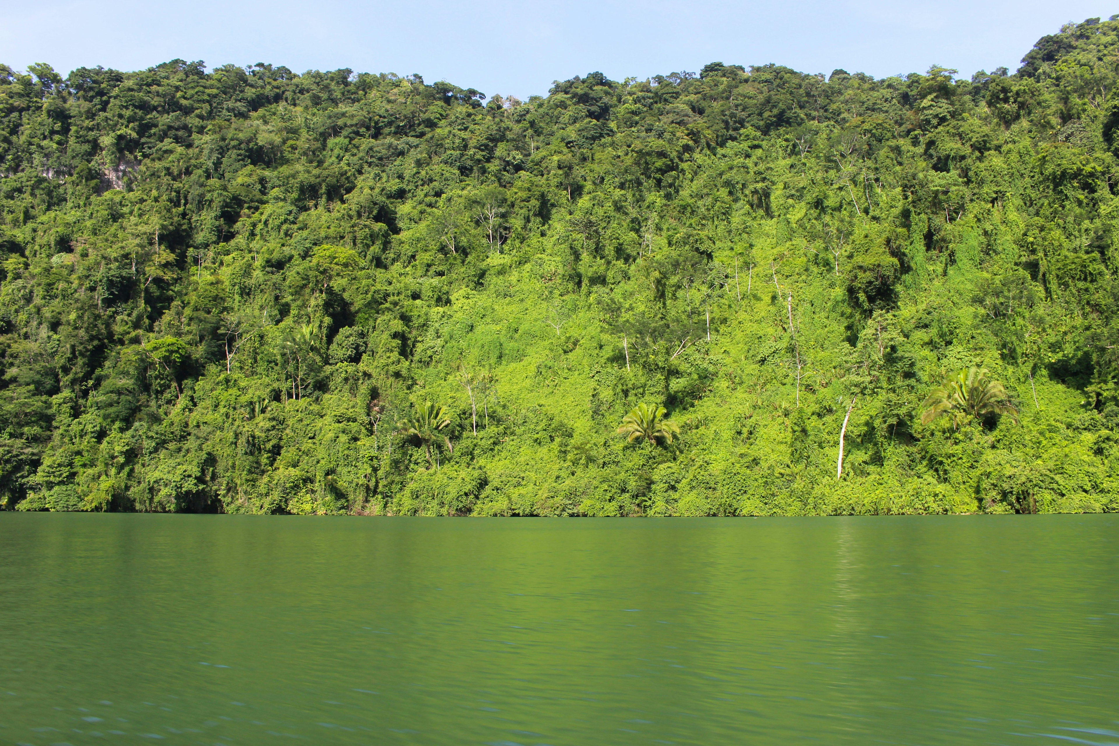 Midden_Amerika_Guatemala_Rio_Dulce_jungle