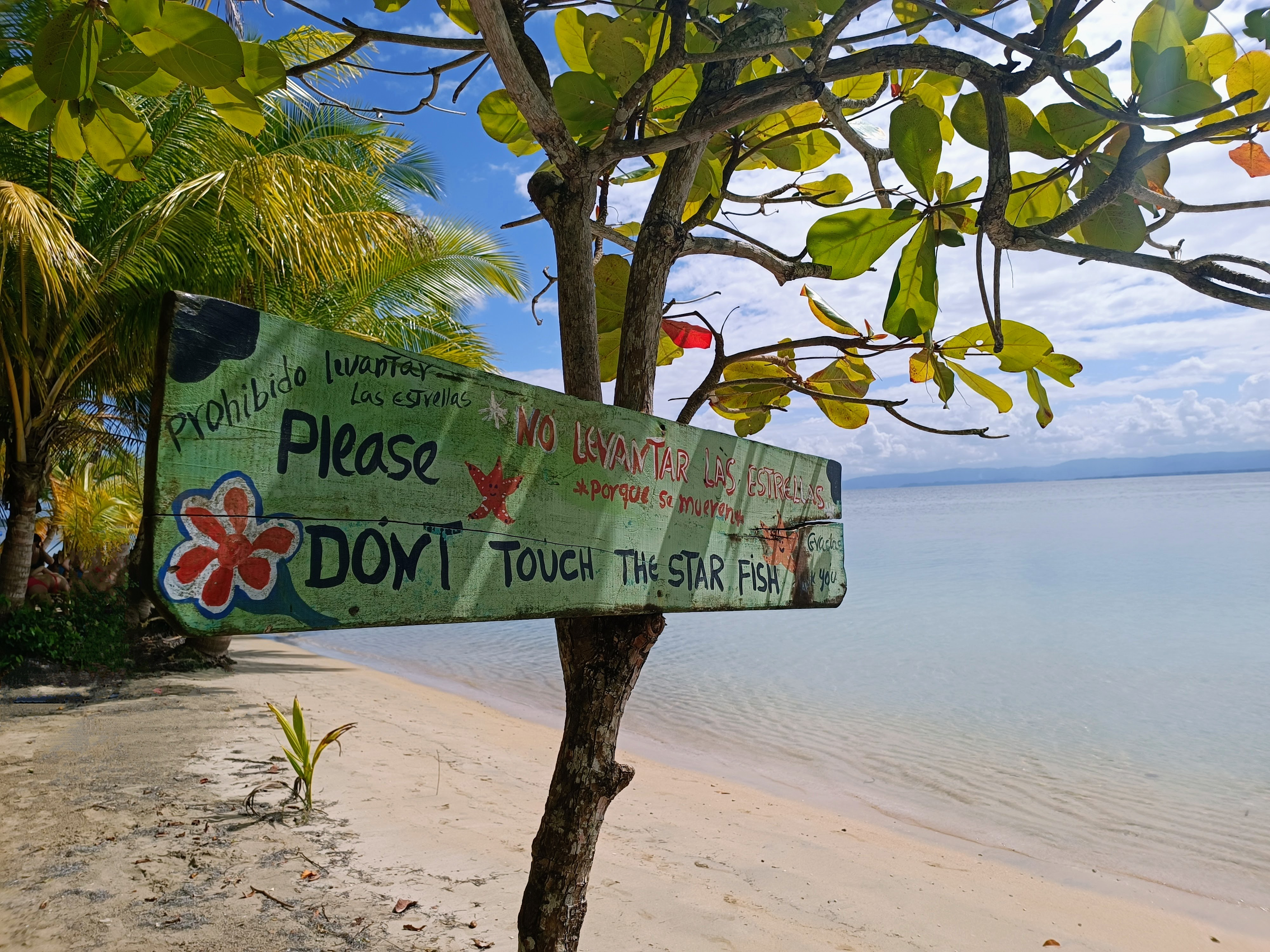 Panama_Bocas_starfish_sign