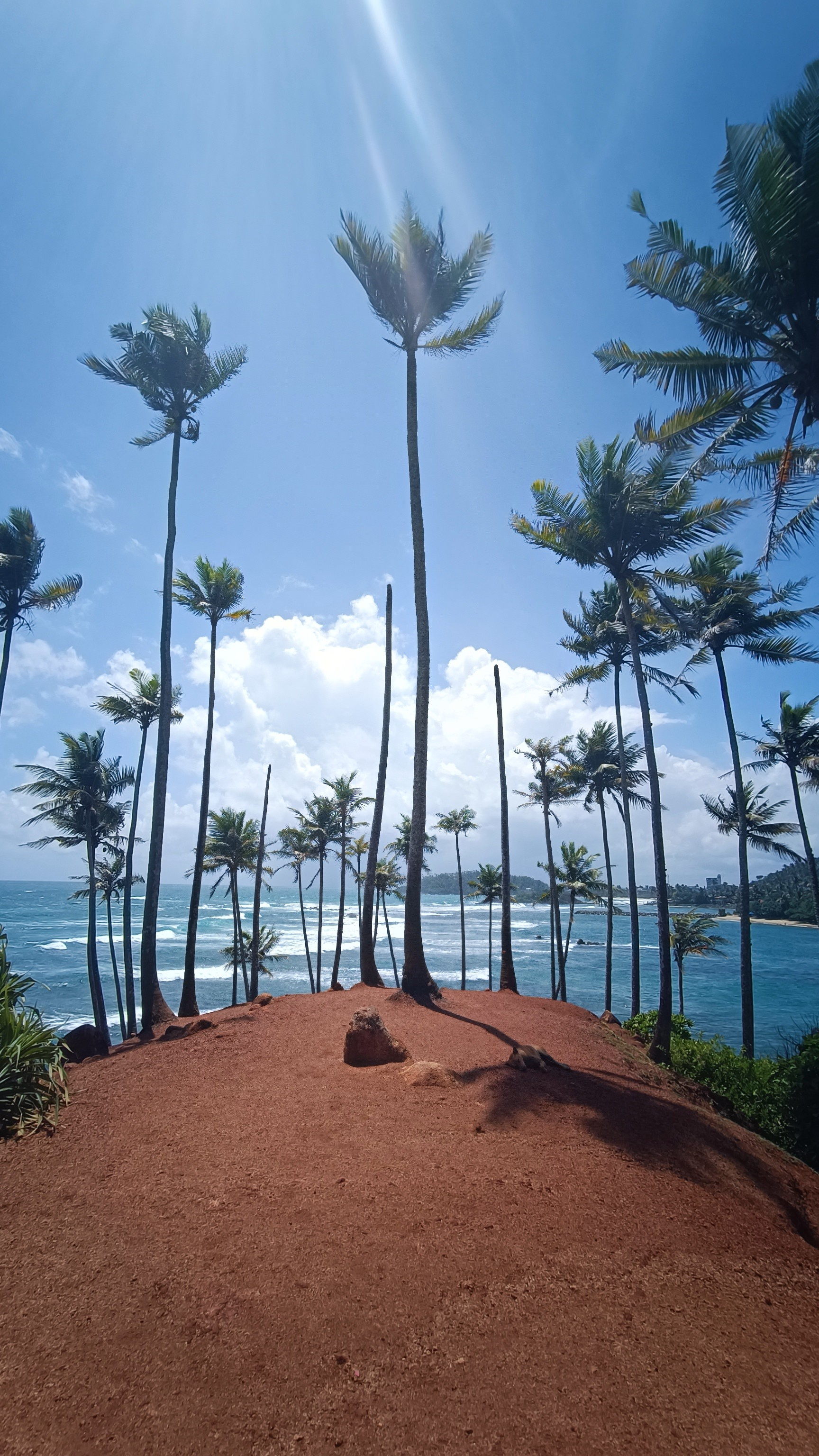 Sri Lanka - Weligama - Coconut Beach