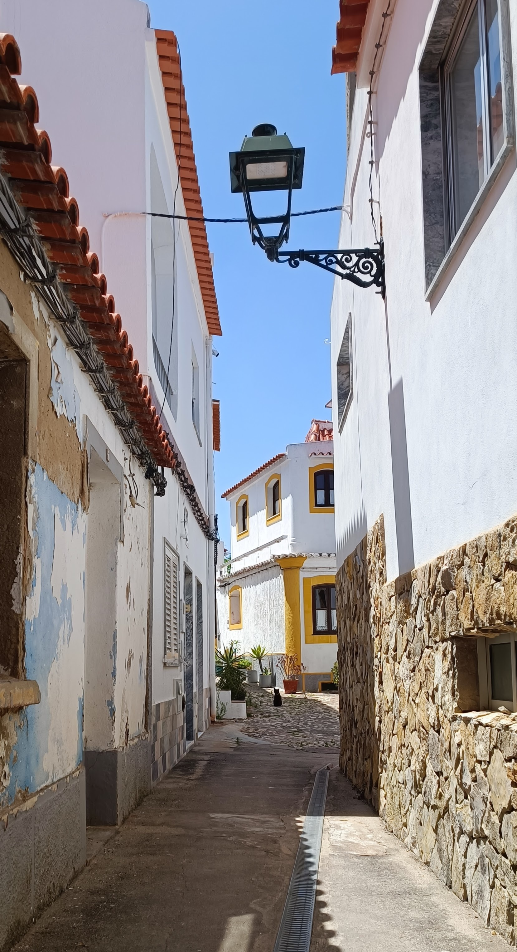 Portugal_Ferragudo_straatkat