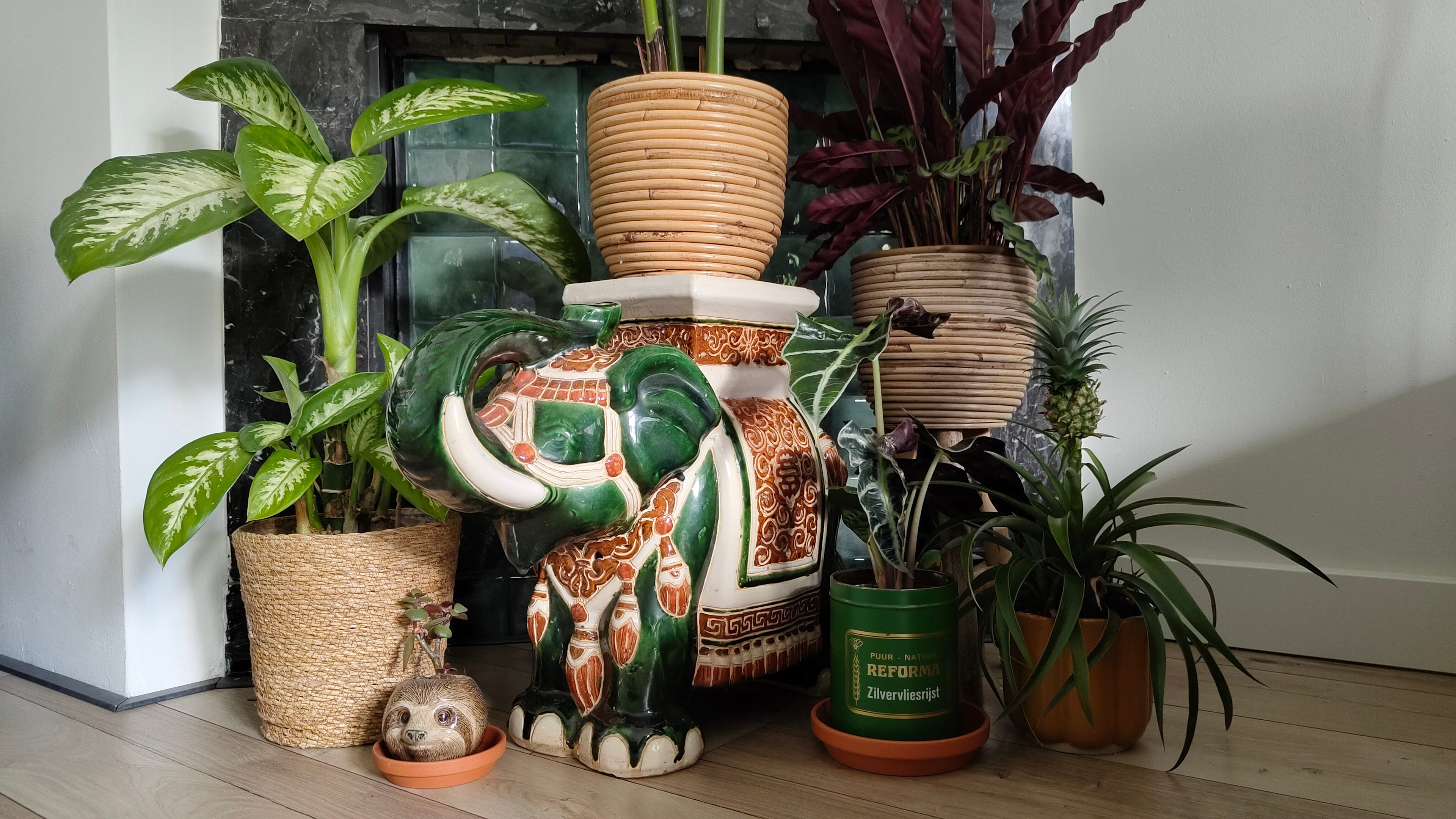 Overig_interieur_planten_olifant