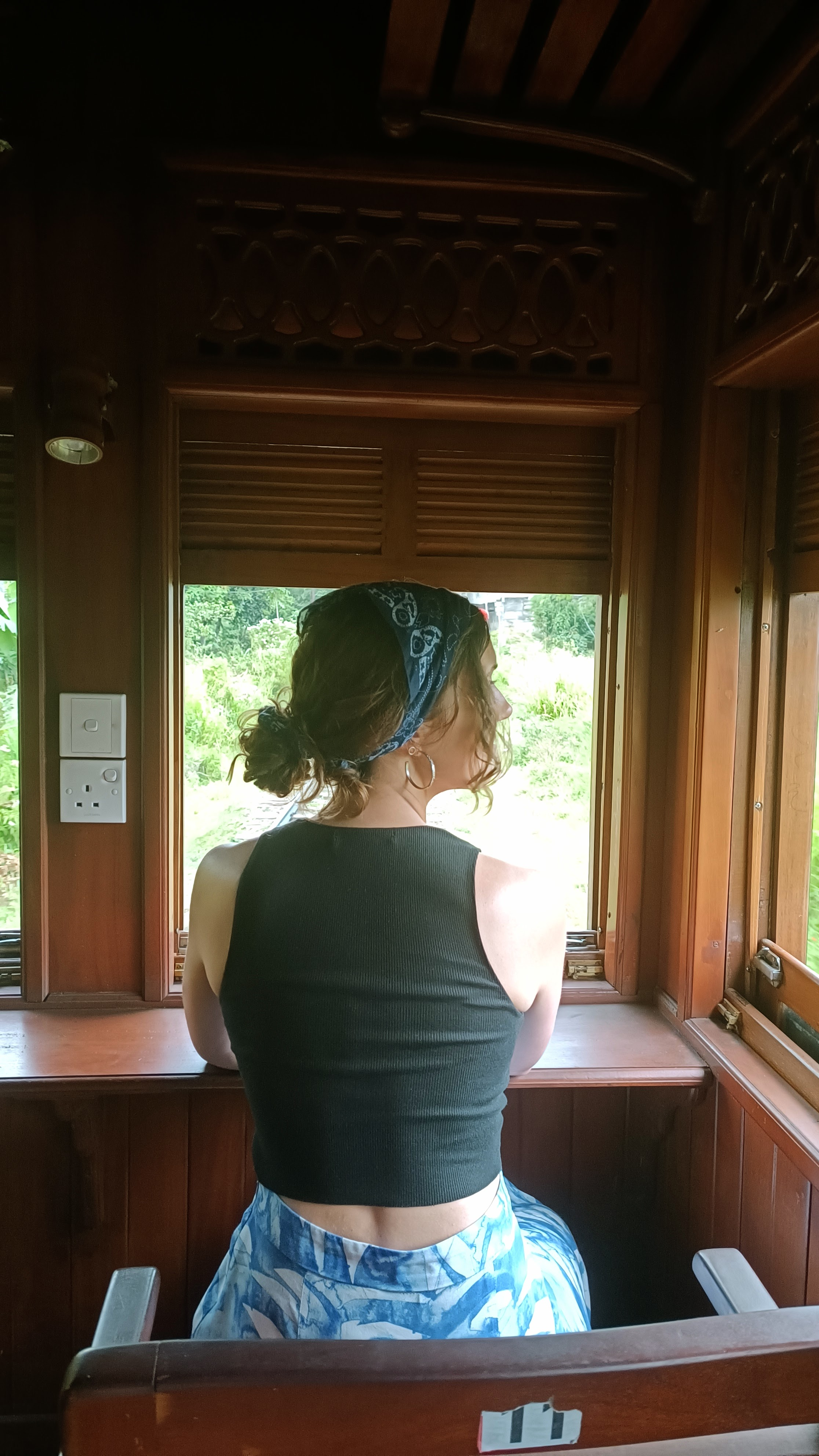Sri Lanka - Ella - Calypso Train
