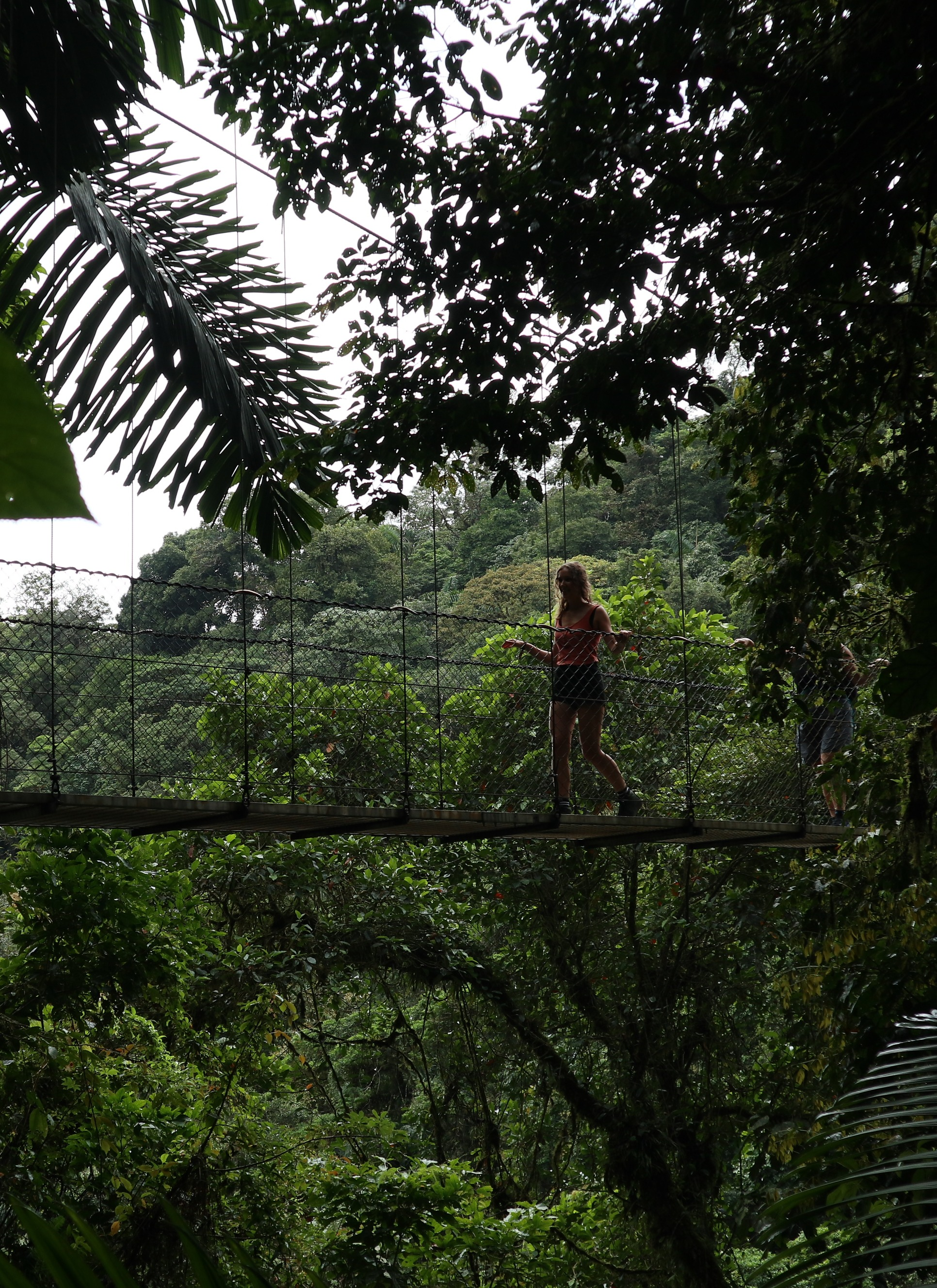 Midden Amerika_La Fortuna_Mistical park_brug