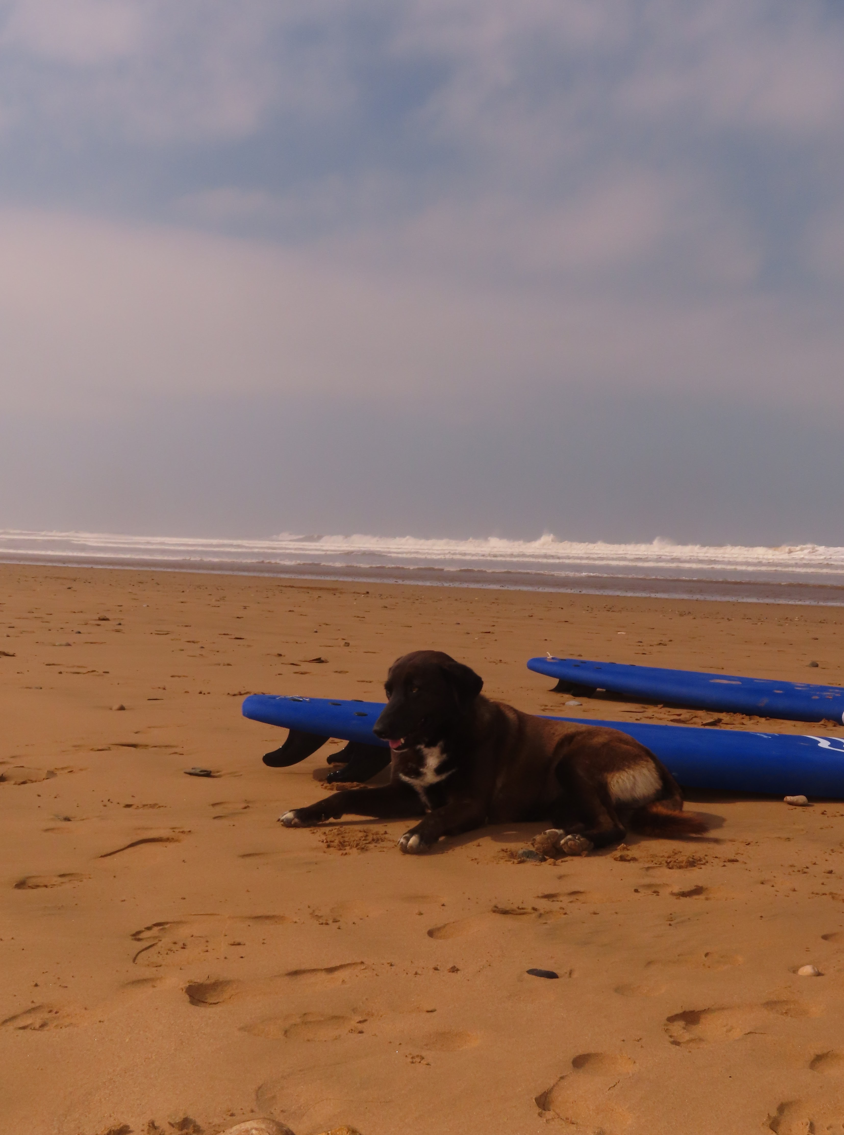 Afrika_Marokko_SidiKaouki4