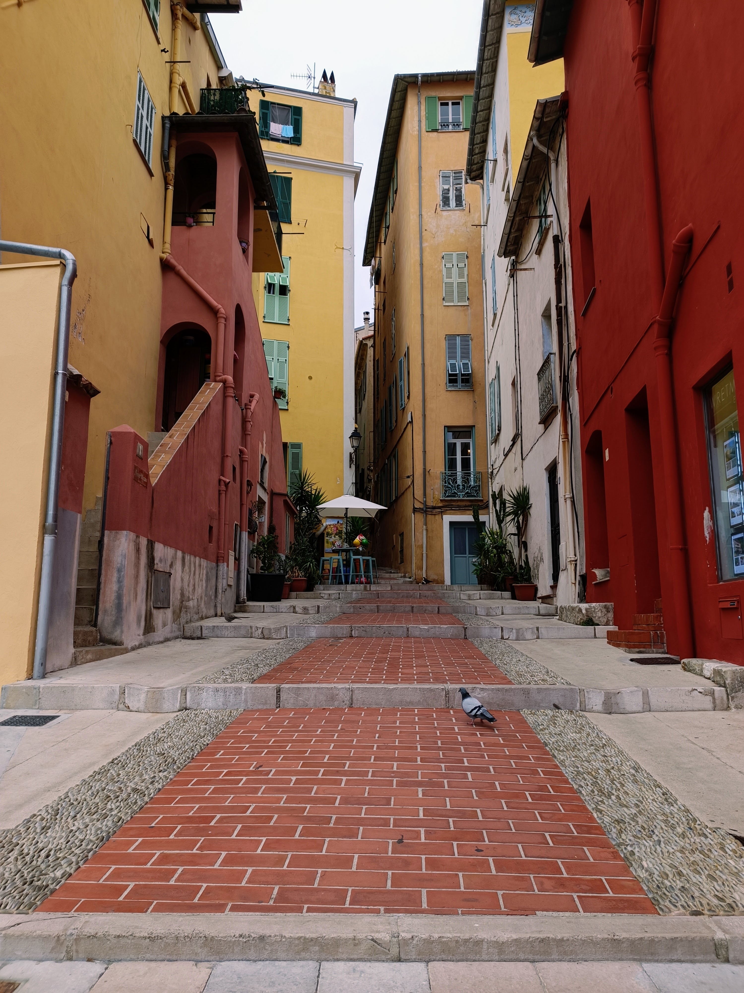 Frankrijk_Menton_duif