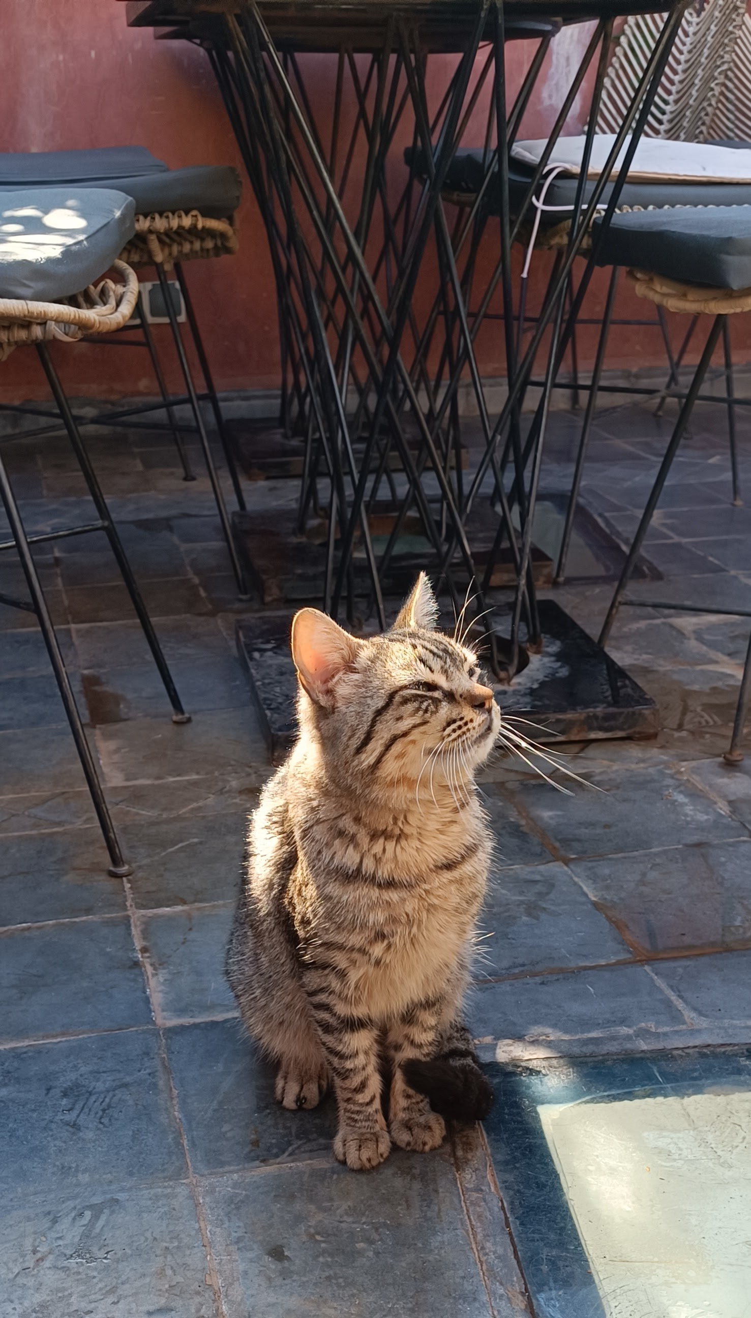 Marrakesh_rooftop_kat