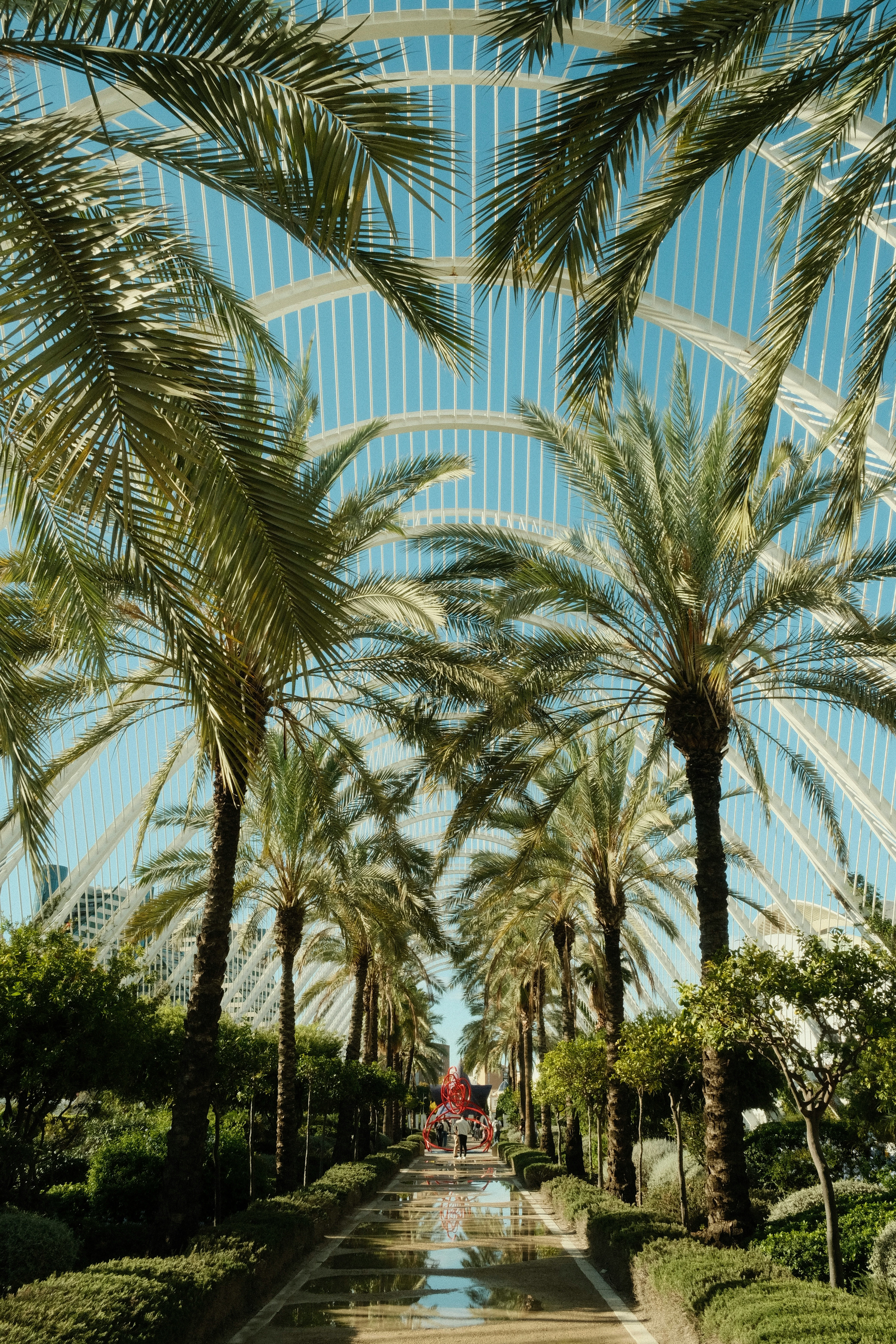Europa_spanje_valencia_stadpark1
