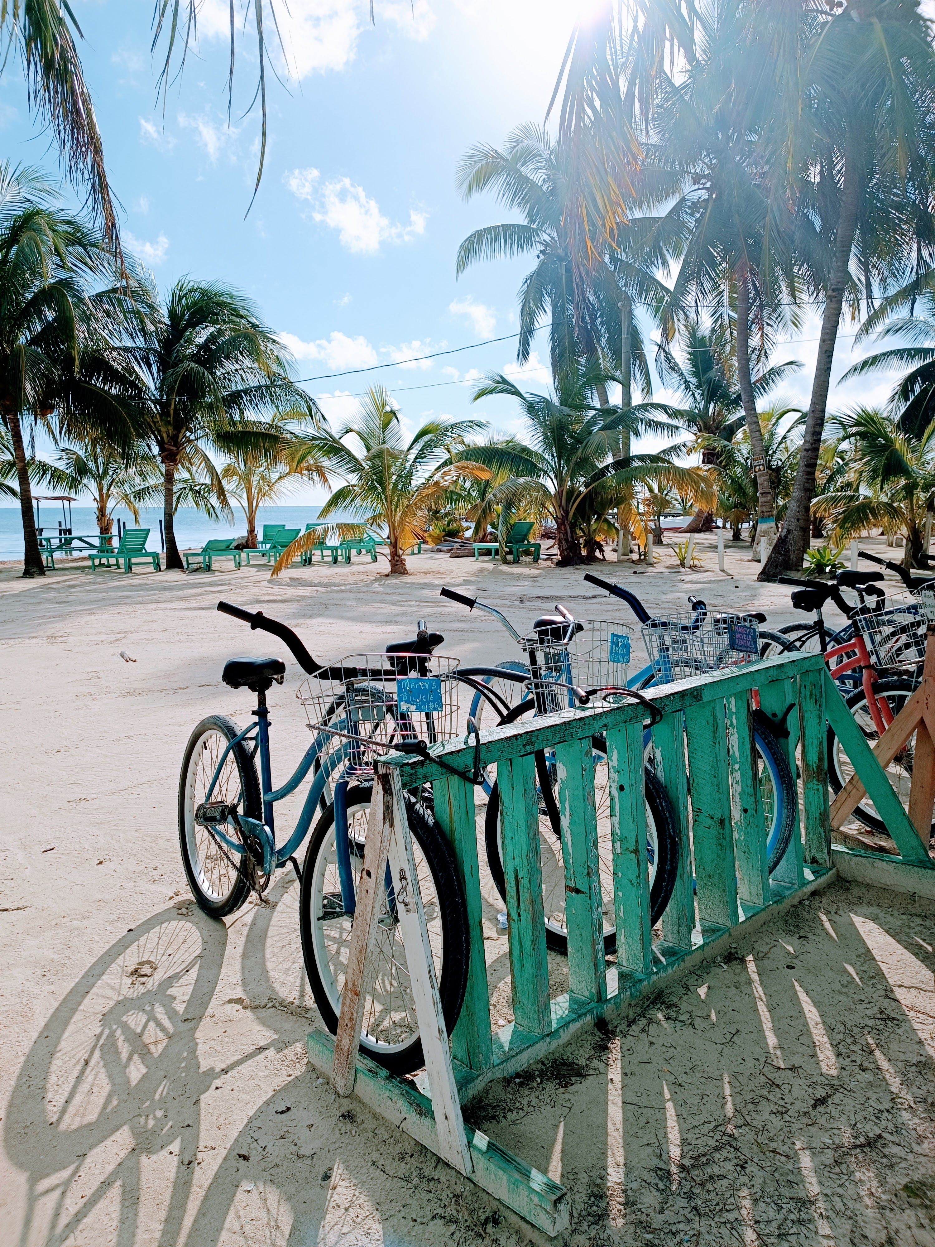 Midden Amerika_Caye Caulker_fietsen