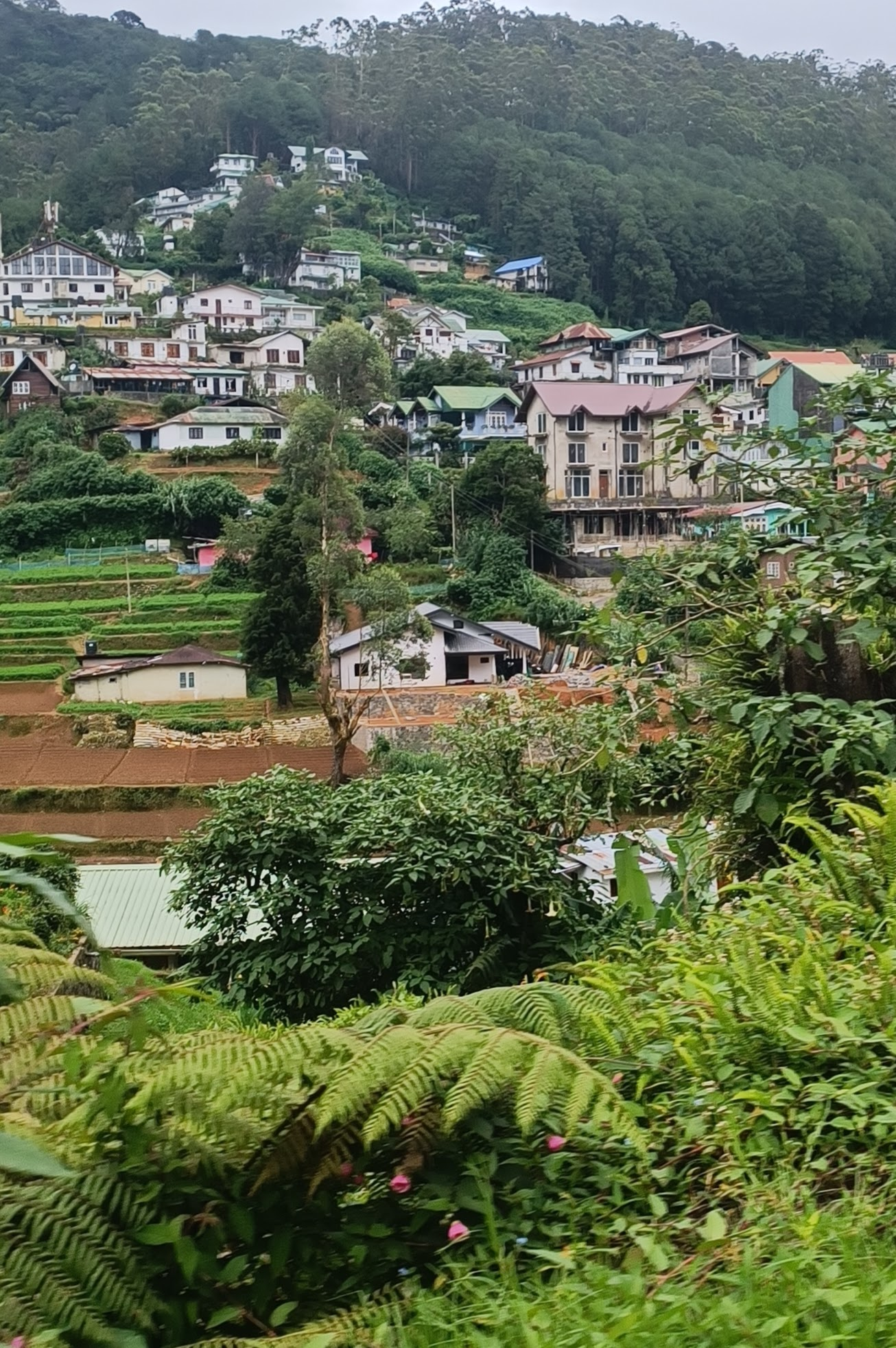 Sri Lanka - Nuwara Eliya - View