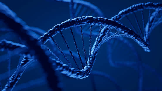 Build Innovation into Your DNA