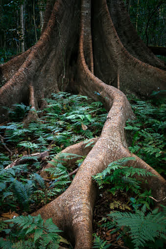 Communicating in Metaphor (Not Riddles)