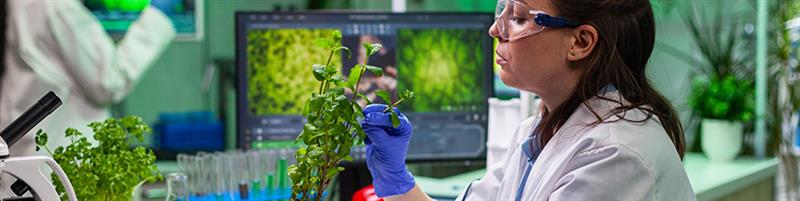Biotechnology and Research Park