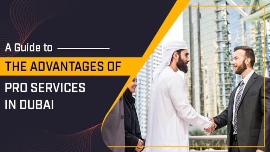A Guide to the Advantages of PRO Services in Dubai