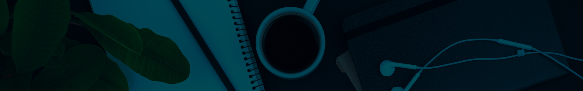 Straight Talk with Business Setup Experts