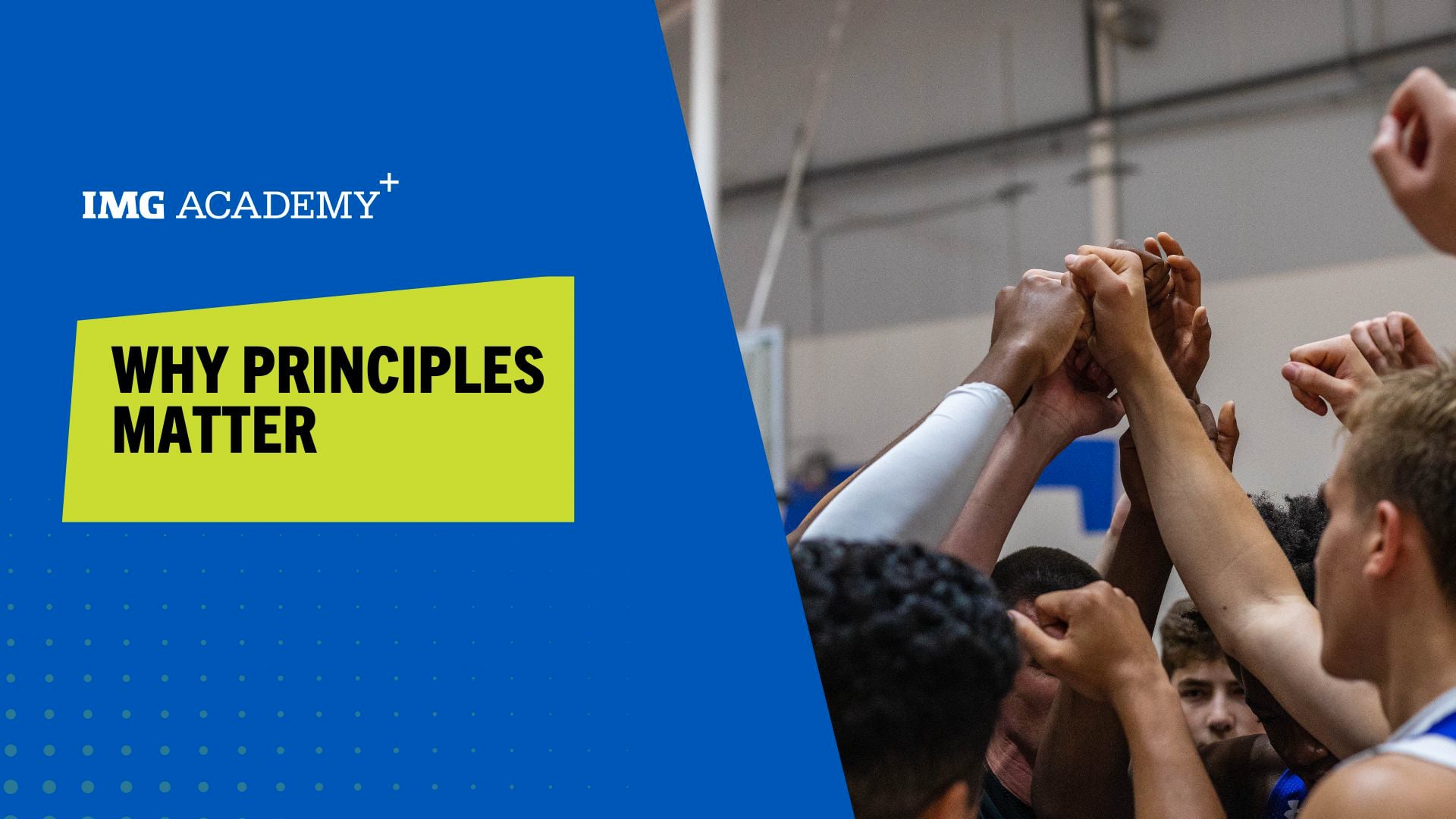 image for Why Principles Matter