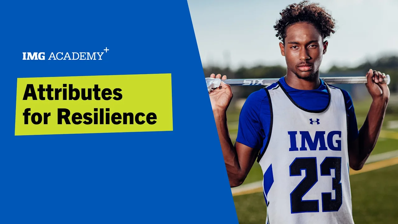 Attributes for Resilience