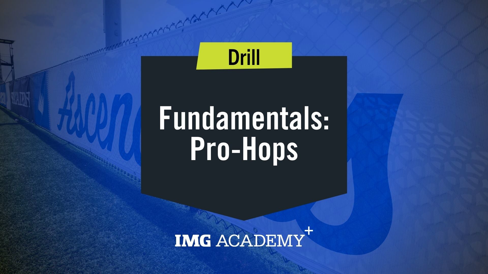 image for Pro-Hops