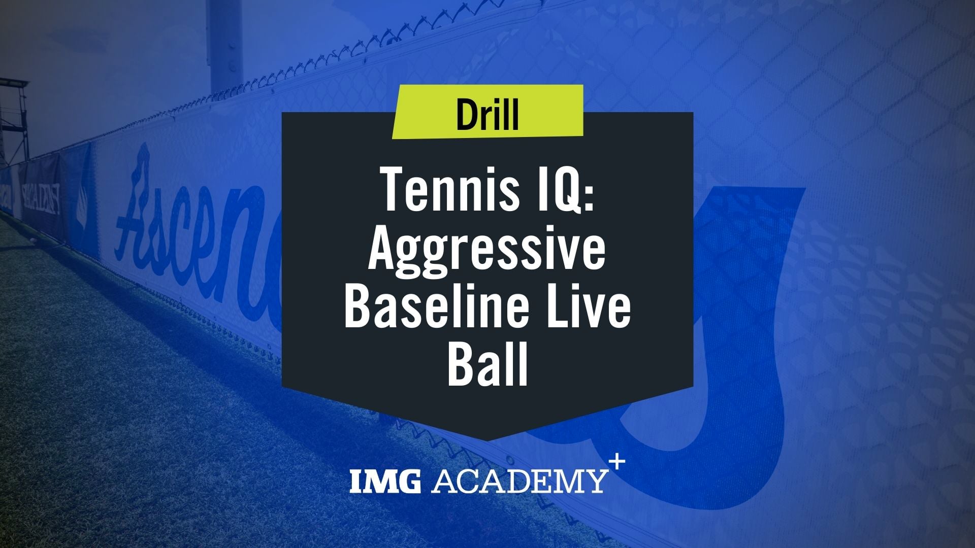 image for Aggressive Baseline Live Ball