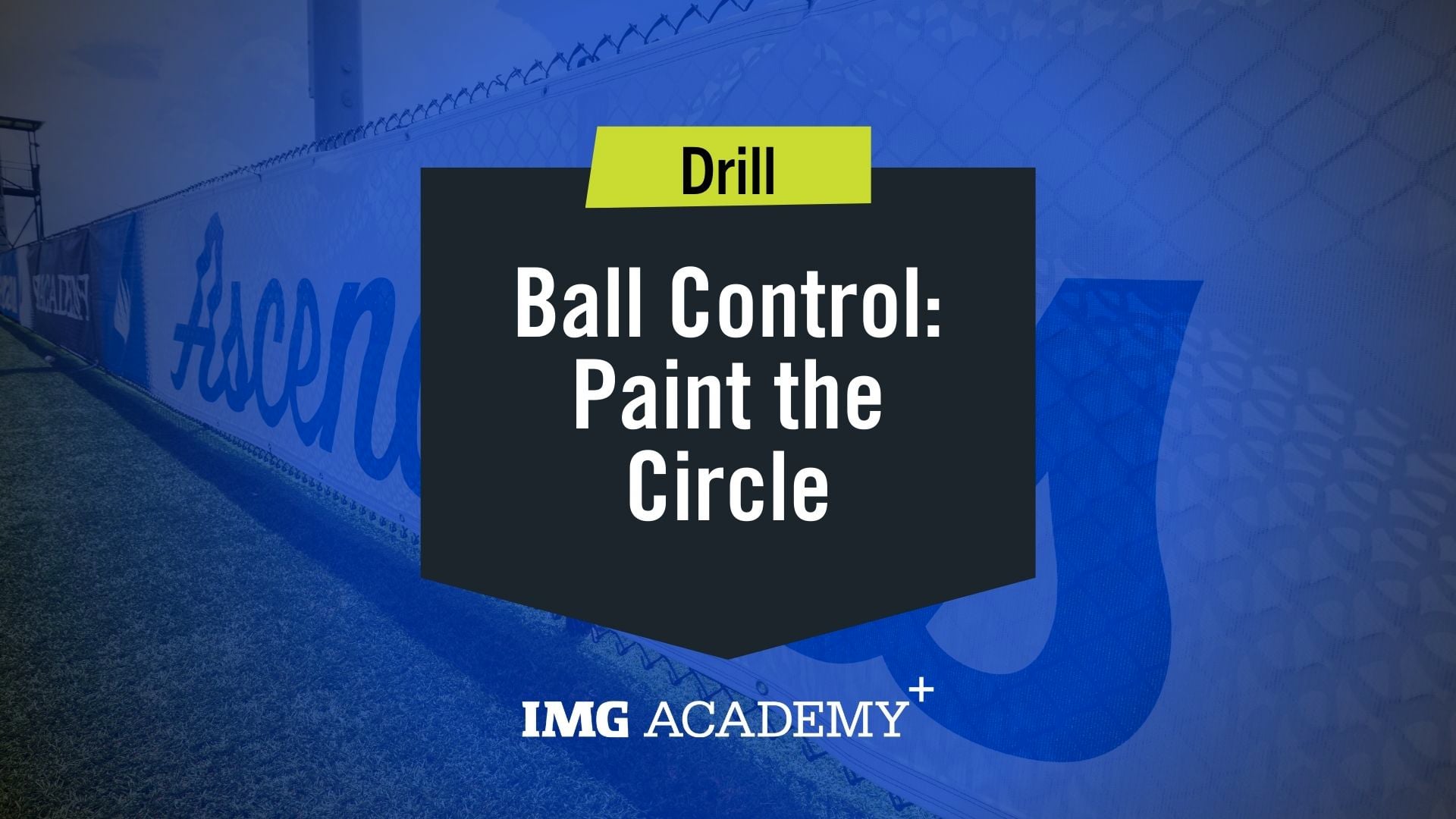 image for Paint the Circle