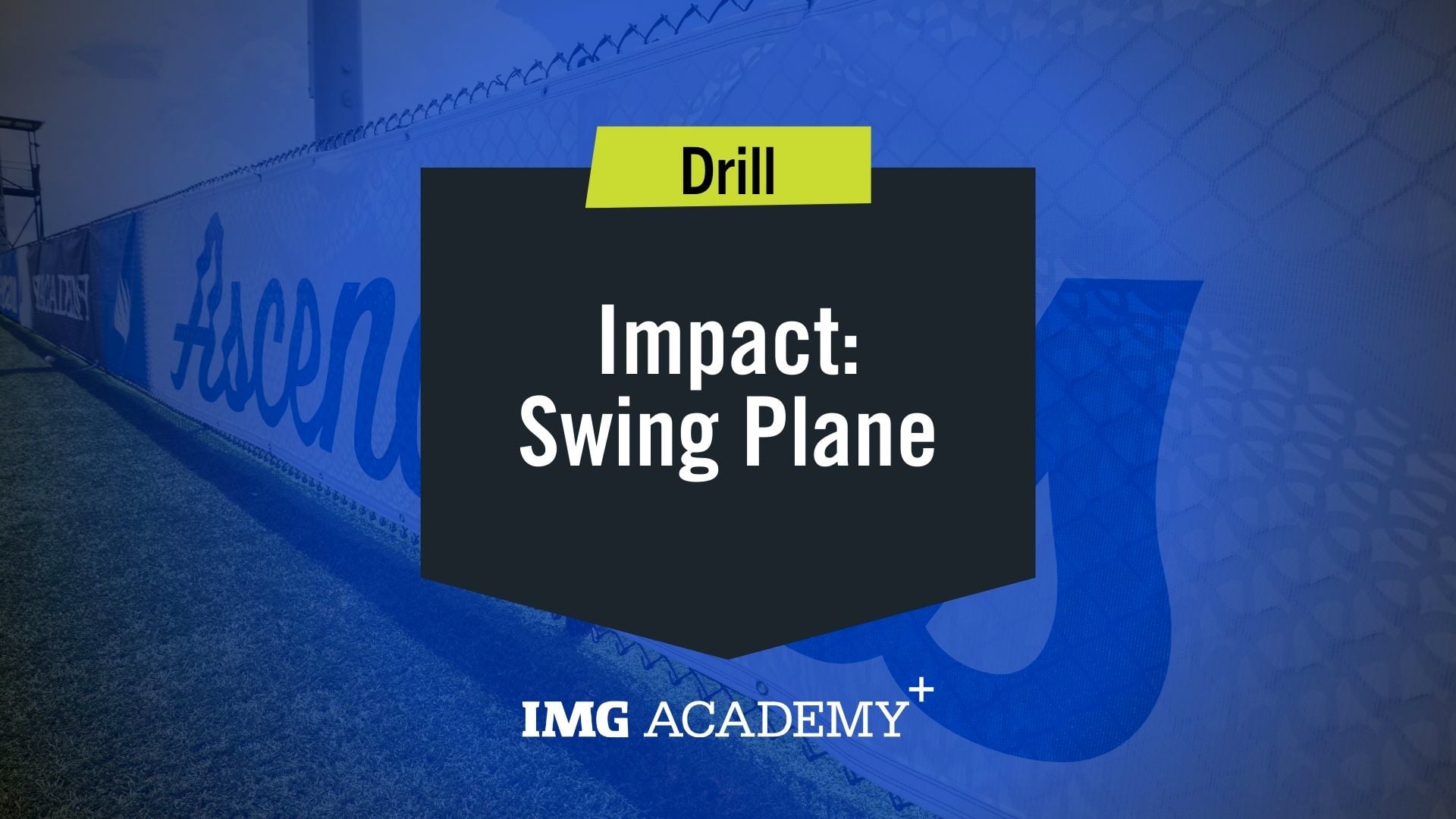 image for Swing Plane