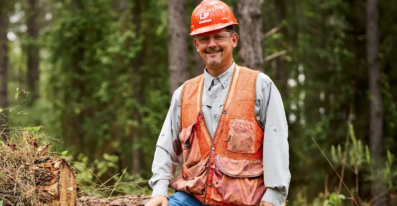 Environment Forestry Image