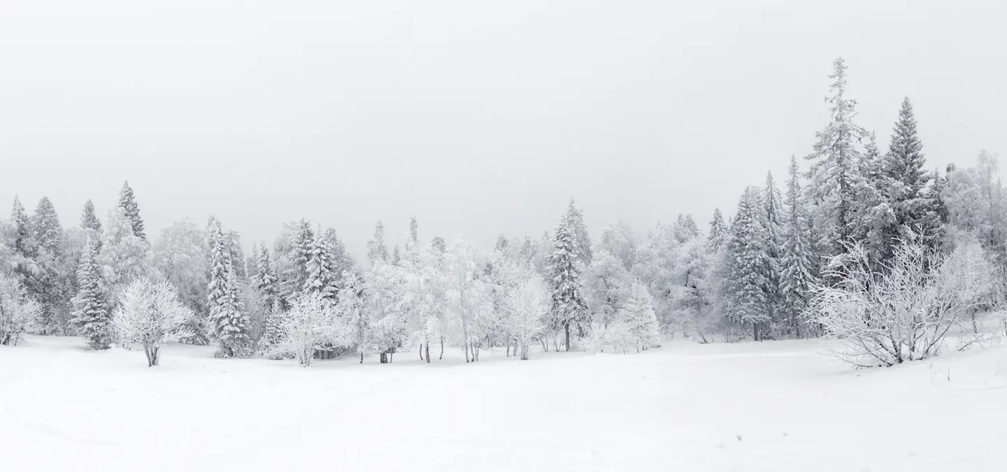 Winter Background Layer