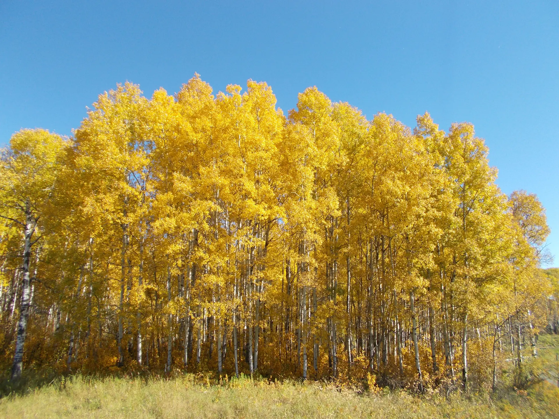 Company-Sustainability-Hero