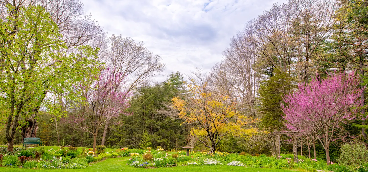 Spring Background Layer