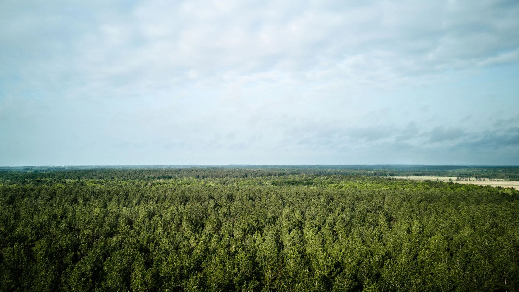 Environment Image