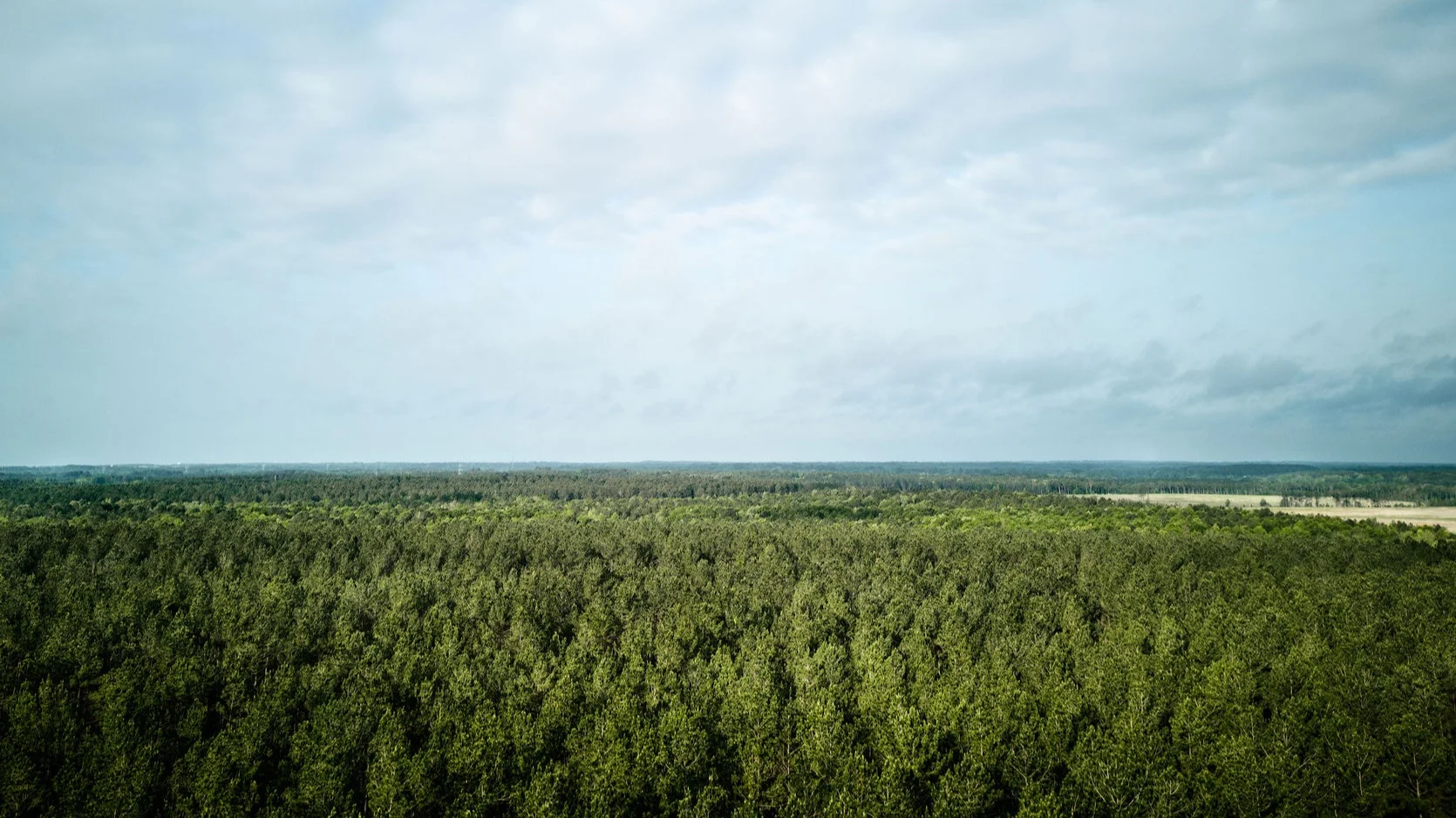 Environment Image