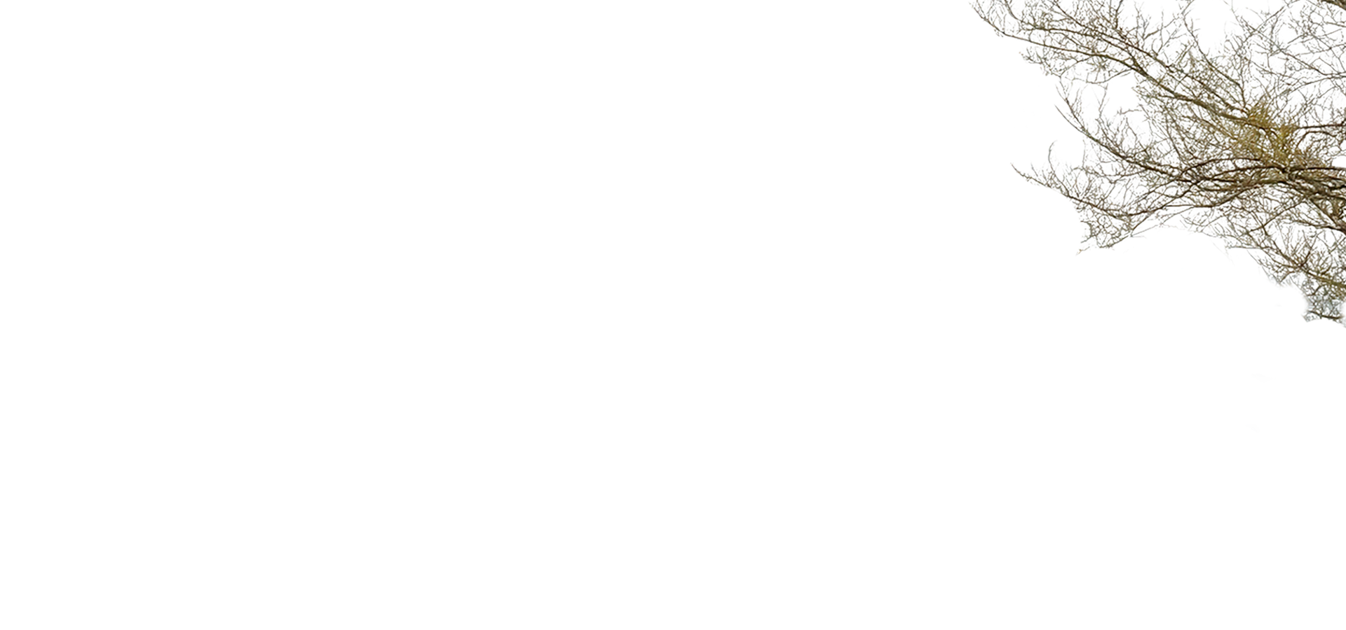 Winter Foreground Layer