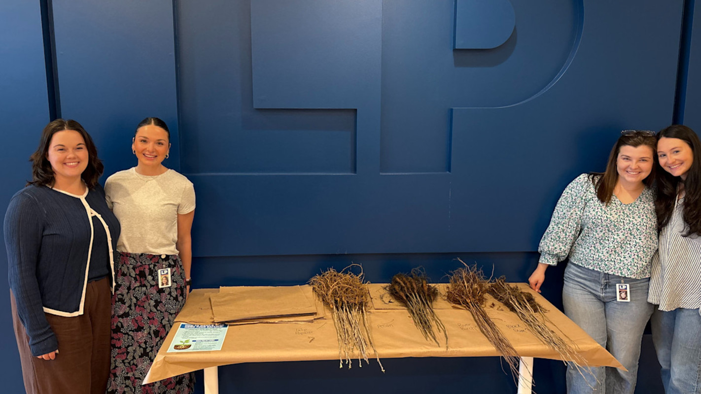 Sapling image in LP office