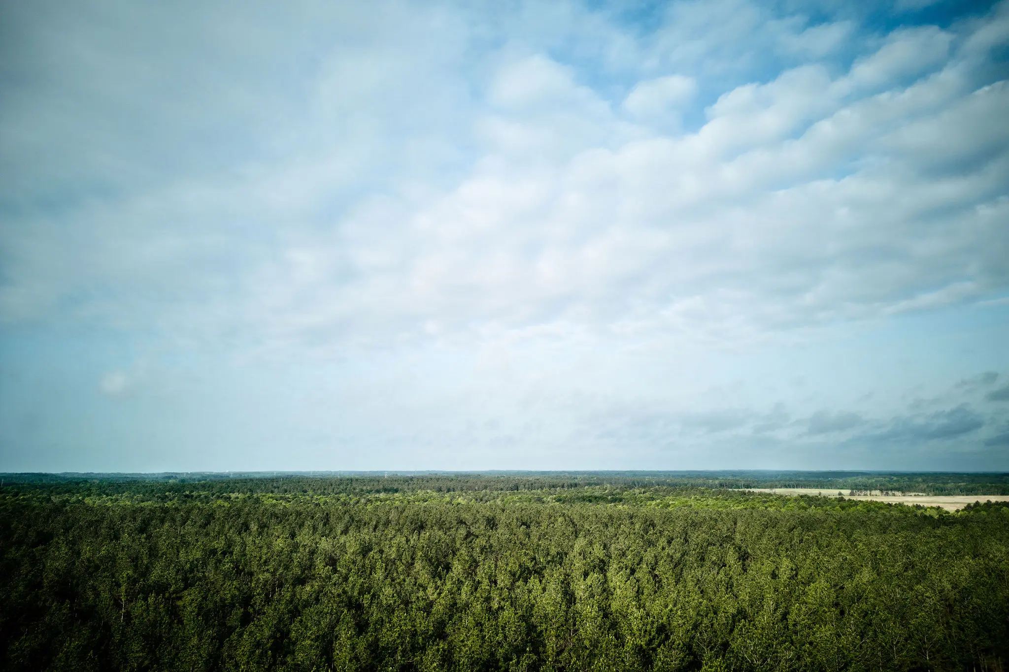 Company-Sustainability-Bento-Stewardship
