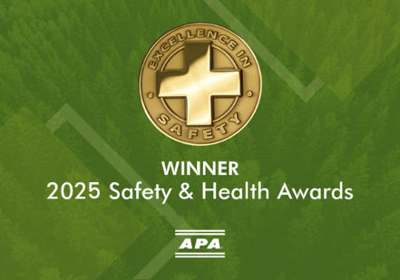 APA 2025
