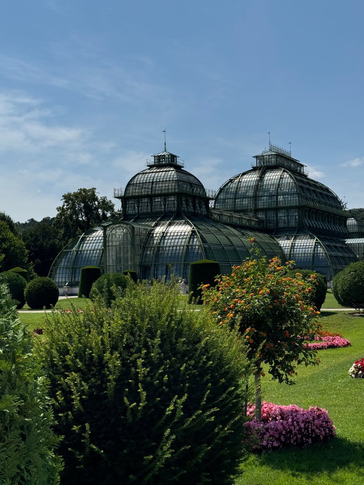 Palmiarnia - Palm House na terenie kompleksu parkowo-pałacowego Schönbrunn w Wiedniu. Jest letni gorący dzień. Teren wokół palmiarni jest zadbany. Dużo jest krzaków i kolorowych kwiatów.