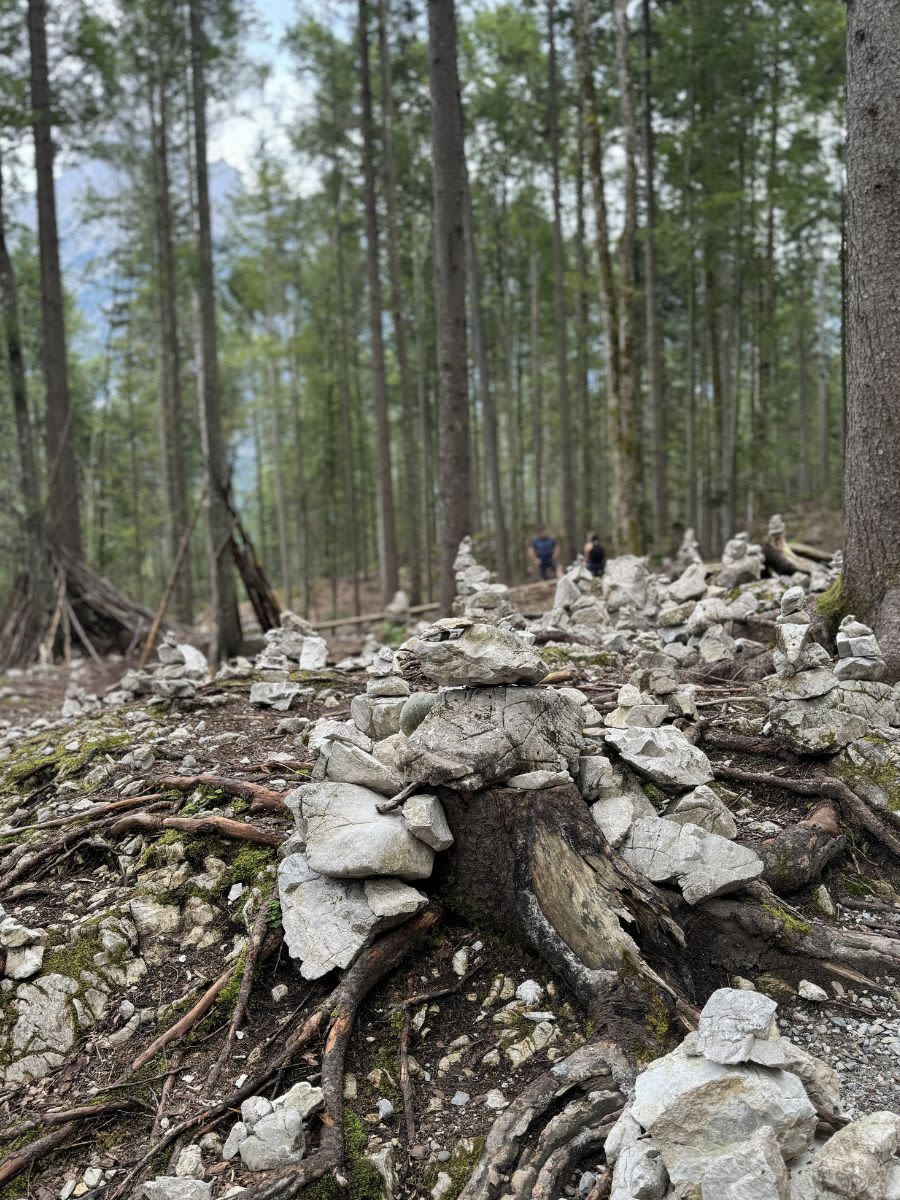 Wąwóz Leutascher Geisterklamm w Austrii. Przy drodze ułożone są małe kamienie. Rosną wysokie iglaste drzewa.