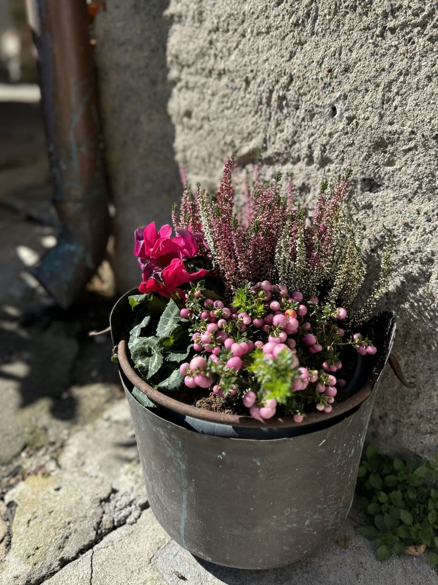 Duża donica, w której znajdują się różnie gatunki roślin i kwiatów. Dominują kwiatki o różowym odcieniu. Donica stoi pod kamienną ścianą.