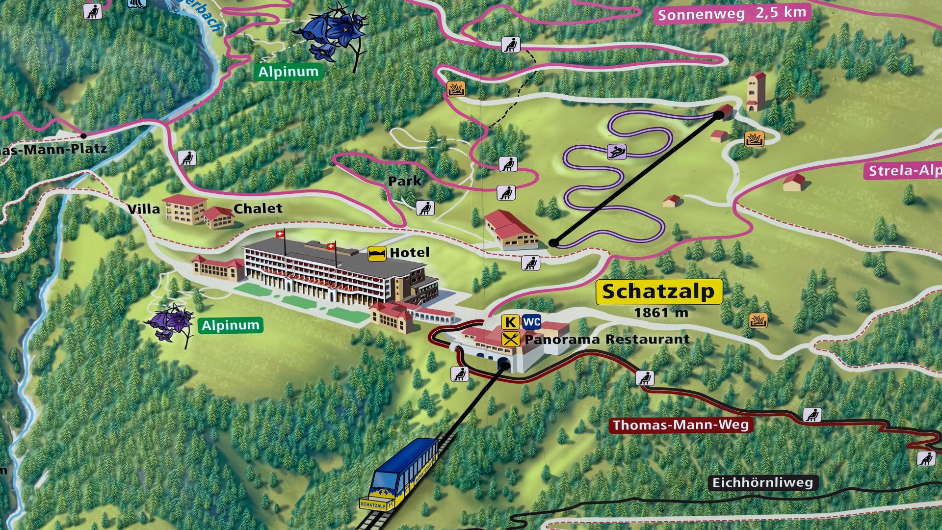 Obraz okładki dla Pociągiem do Davos, czyli śladami Hansa Castorpa - kuracjusza słynnego sanatorium "Berghof"
