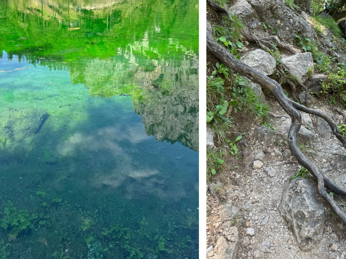 Kolaż zdjęć. Po prawej odbicie w jeziorze Grüner See, w którym widać góry. Po prawej konary drzew, które wystają na ścieżkę, która biegnie wokół jeziora. 
